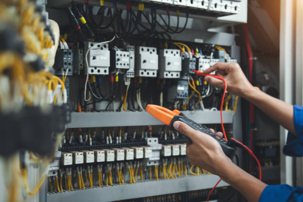 Best Electric Panel Repair  in Nellieburg, MS