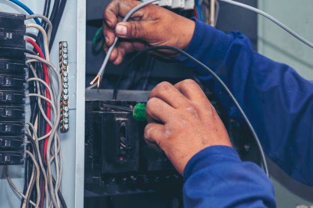 Best Ceiling Fan Installation Electrician  in Nellieburg, MS