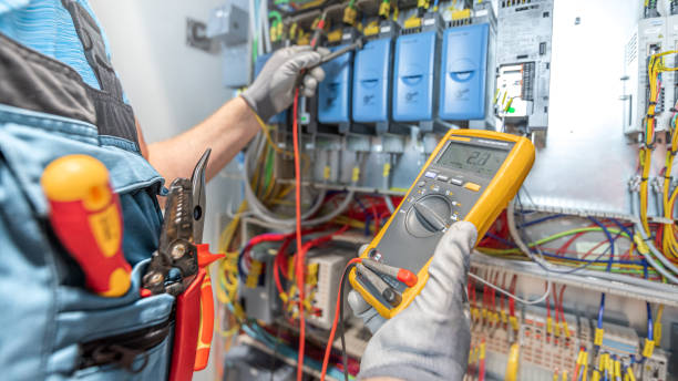 Best Electrician for Home Renovation  in Nellieburg, MS